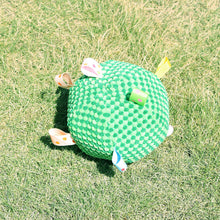 Load image into Gallery viewer, Interactive Ball Dog Toy for Aggressive Chewers Training Decompress Bite Resistant Plush Handle Dog Toys with Bells Pet Supplies