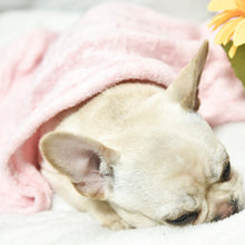 Load image into Gallery viewer, Soft Pet Dog Blanket Thicken Dog Mat Warm Flannel Dog Cat Bed Pet House Double Sided Dog Nest Mat