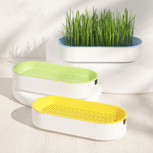 Load image into Gallery viewer, Pet Cat Grass Potted Hydroponic Plant Seedling Tray Growing Pot Reusable Garden Catnip Digestion Cleaning Stomach Grass Grow Box