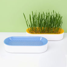Load image into Gallery viewer, Pet Cat Grass Potted Hydroponic Plant Seedling Tray Growing Pot Reusable Garden Catnip Digestion Cleaning Stomach Grass Grow Box
