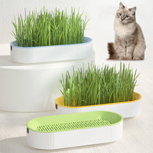 Load image into Gallery viewer, Pet Cat Grass Potted Hydroponic Plant Seedling Tray Growing Pot Reusable Garden Catnip Digestion Cleaning Stomach Grass Grow Box