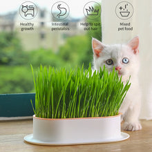 Load image into Gallery viewer, Pet Cat Grass Potted Hydroponic Plant Seedling Tray Growing Pot Reusable Garden Catnip Digestion Cleaning Stomach Grass Grow Box