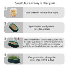 Load image into Gallery viewer, Pet Cat Grass Potted Hydroponic Plant Seedling Tray Growing Pot Reusable Garden Catnip Digestion Cleaning Stomach Grass Grow Box