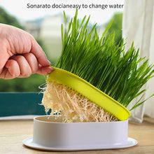 Load image into Gallery viewer, Pet Cat Grass Potted Hydroponic Plant Seedling Tray Growing Pot Reusable Garden Catnip Digestion Cleaning Stomach Grass Grow Box