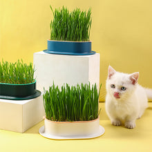 Load image into Gallery viewer, Pet Cat Grass Potted Hydroponic Plant Seedling Tray Growing Pot Reusable Garden Catnip Digestion Cleaning Stomach Grass Grow Box