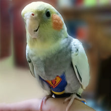 Load image into Gallery viewer, Super Hero Parrot Diaper Flight Suit Diaper Clothes Parrot Parakeet Pigeon Medium Large Pet Bird