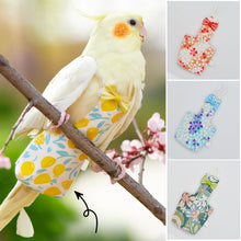 Load image into Gallery viewer, Cute Birds Flight Suit Parrot Diaper Flight Suit Diaper Clothes Parakeet Pigeon Medium Large Pet Bird