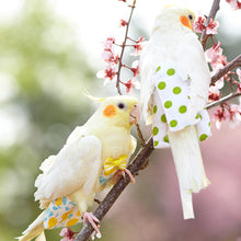 Load image into Gallery viewer, Cute Birds Flight Suit Parrot Diaper Flight Suit Diaper Clothes Parakeet Pigeon Medium Large Pet Bird