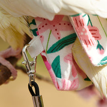 Load image into Gallery viewer, Cute Birds Flight Suit Parrot Diaper Flight Suit Diaper Clothes Parakeet Pigeon Medium Large Pet Bird