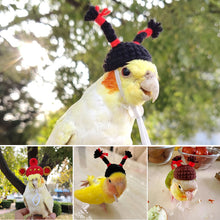 Load image into Gallery viewer, Pet Hamster Budgerigar Cockatiel Peony Parrot Bird Hat Wool Crochet Knitted Parrot Hat Small Animals Mini Hat Birds Toys