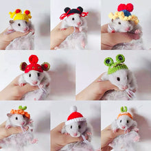 Load image into Gallery viewer, Pet Hamster Budgerigar Cockatiel Peony Parrot Bird Hat Wool Crochet Knitted Parrot Hat Small Animals Mini Hat Birds Toys