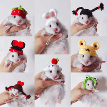 Load image into Gallery viewer, Pet Hamster Budgerigar Cockatiel Peony Parrot Bird Hat Wool Crochet Knitted Parrot Hat Small Animals Mini Hat Birds Toys