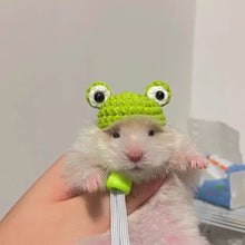 Load image into Gallery viewer, Pet Hamster Budgerigar Cockatiel Peony Parrot Bird Hat Wool Crochet Knitted Parrot Hat Small Animals Mini Hat Birds Toys