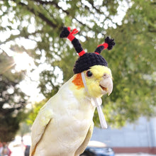 Load image into Gallery viewer, Pet Hamster Budgerigar Cockatiel Peony Parrot Bird Hat Wool Crochet Knitted Parrot Hat Small Animals Mini Hat Birds Toys