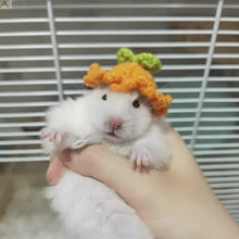 Load image into Gallery viewer, Pet Hamster Budgerigar Cockatiel Peony Parrot Bird Hat Wool Crochet Knitted Parrot Hat Small Animals Mini Hat Birds Toys