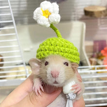 Load image into Gallery viewer, Pet Hamster Budgerigar Cockatiel Peony Parrot Bird Hat Wool Crochet Knitted Parrot Hat Small Animals Mini Hat Birds Toys