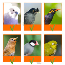 Load image into Gallery viewer, Bird Cage Feeder Parrot Birds Water Hanging Bowl Parakeet Feeder Box Pet Cage Plastic Food Container Bird Supplies