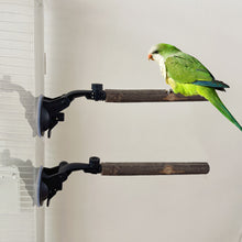 Load image into Gallery viewer, Natural Wood Pet Parrot Raw Wood Fork Branch Perches Stand Rack Stick For Birds Squirrel Small Cockatiels Lovebird Parakeets Bird Supplies