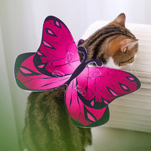Load image into Gallery viewer, Cat Dog Colorful Butterfly Cosplay Costume Wings Halloween Pet Cloth Wing Costume Soft Comfortable Festival Clothes for Cat