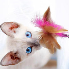 Load image into Gallery viewer, 1Pc Cats Toys Feathers Wand Interactive Toy Kitten Toys with Bell Pets Collar Playing Teaser Wand Training Toys for Cats Supplies