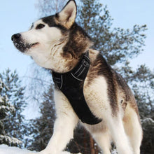 Load image into Gallery viewer, No Pull Breathable Reflective Dog Harness Adjustable Soft Padded Dog Vest style chest strap for Small Medium Large Dogs