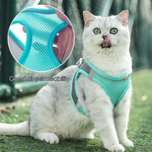 Load image into Gallery viewer, Adjustable Puppy Cat Harness Vest Reflective Breathable Adjustable Pet Harness for Small Medium Dogs Outdoor Walking