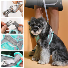 Load image into Gallery viewer, Adjustable Puppy Cat Harness Vest Reflective Breathable Adjustable Pet Harness for Small Medium Dogs Outdoor Walking