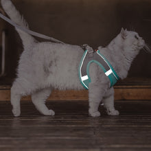 Load image into Gallery viewer, Adjustable Puppy Cat Harness Vest Reflective Breathable Adjustable Pet Harness for Small Medium Dogs Outdoor Walking