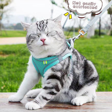 Load image into Gallery viewer, Adjustable Puppy Cat Harness Vest Reflective Breathable Adjustable Pet Harness for Small Medium Dogs Outdoor Walking