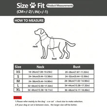 Load image into Gallery viewer, Pet Harness Anti-Pull Adjustable Comfortable Traction Rope Pet Harness Leash Set for Small Dogs and Cats