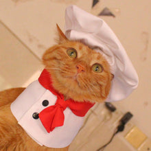 Load image into Gallery viewer, Pet Cooking King Hat Chef Clothes Hats Set Cat Dog Transformation Dress Cute Photo Decoration Hat Dog Costume Dog Hat Pet Accessories