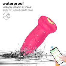 Load image into Gallery viewer, Charging Remote Control APP Scratch Free Twisting Vibration Remote Control Silicone Anal Plug Sexy Female and Male Sex Toys