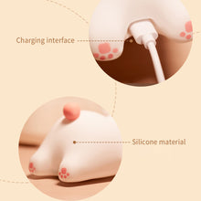 Load image into Gallery viewer, Cute Sheep Panda Rabbit Silicone Lamp USB Rechargeable Timing LED Night Light Bedside Decor Kids Birthday Gift