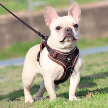 Load image into Gallery viewer, Pet Dog Harness Soft Breathable Leash Set for Small Medium Dogs Chihuahua Puppy Collar Cat Pet Dog Chest Strap Leash