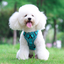 Load image into Gallery viewer, Pet Dog Harness Soft Breathable Leash Set for Small Medium Dogs Chihuahua Puppy Collar Cat Pet Dog Chest Strap Leash