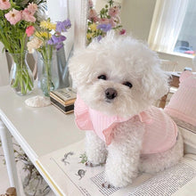 Load image into Gallery viewer, Cute Bow Dog Vest Teddy Puppy Pullover Summer Pet Clothes Breathable Two-legged Clothes Solid Color Cat Dog Clothes Pet Products