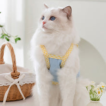 Load image into Gallery viewer, Puppy Summer Clothes Suspender Vest for Small Dogs Clothing Chihuahua Dog Cooling Vest Love Relief Girls Dog T-Shirt