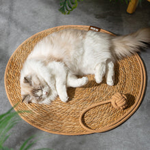 Load image into Gallery viewer, Dog Air Conditioning Mat Summer Rattan Pet Mat Pet Supplies Cooling Mat Cat Cooling Pad for Small Medium Cat