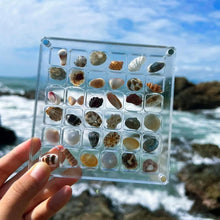 Load image into Gallery viewer, Seashell Display Box Acrylic Magnetic Diamond Display Case Acrylic Organizer Box Stackable Jewelry Gem Organizers Compartment