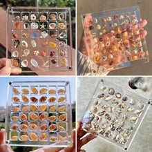 Load image into Gallery viewer, Seashell Display Box Acrylic Magnetic Diamond Display Case Acrylic Organizer Box Stackable Jewelry Gem Organizers Compartment