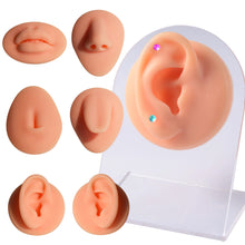 Load image into Gallery viewer, Human Facial Features Model Puncture Perforation Silicone Ear Model Nose Tongue Eyes Navel Big Mouth Ear Model