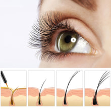Load image into Gallery viewer, Eyelash Growth Liquid Rapid Growth Liquid Lengthening Curl Lengthen Thicken Treatment Eye Lash Slender Eyelash Growth Liquid