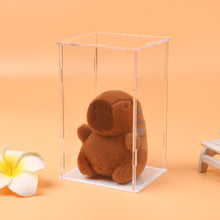 Load image into Gallery viewer, 1Pc Transparent Acrylic Display Case Storage Box 11.4x9.7x18cm for Labubu Plush Dolls/Toys Organizer Protective Container
