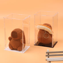 Load image into Gallery viewer, 1Pc Transparent Acrylic Display Case Storage Box 11.4x9.7x18cm for Labubu Plush Dolls/Toys Organizer Protective Container