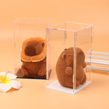 Load image into Gallery viewer, 1Pc Transparent Acrylic Display Case Storage Box 11.4x9.7x18cm for Labubu Plush Dolls/Toys Organizer Protective Container