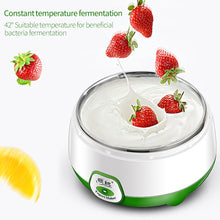 Load image into Gallery viewer, 1L Mini Automatic Yogurt Maker Machine with Constant Temperature Household DIY Yogurt Tools Kitchen Appliances Stainless Steel Tank