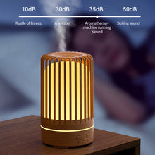Load image into Gallery viewer, Ultrasonic Bird Cage Humidifier USB Spray Cool Mist Humidifier With Colorful Light Cartoon Colorful Light Home Aroma Diffuser