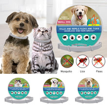 Load image into Gallery viewer, Retractable Pet Dog Antiparasitic Collar Dog Anti Flea Tick Collar For Small Large Dog Cat Lice Collars Deworming Collars Supplies