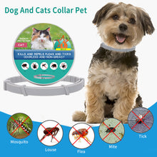 Load image into Gallery viewer, Retractable Pet Dog Antiparasitic Collar Dog Anti Flea Tick Collar For Small Large Dog Cat Lice Collars Deworming Collars Supplies