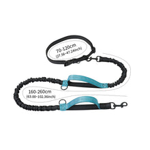 Load image into Gallery viewer, Retractable Hands Free Dog Leash For Running Double Handles Elastic Cord Reflective Large Dog Leash Pet Supplies